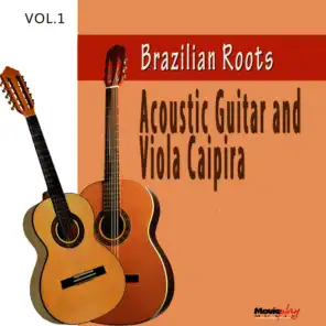 Acoustic Guitar e Viola, Vol.1