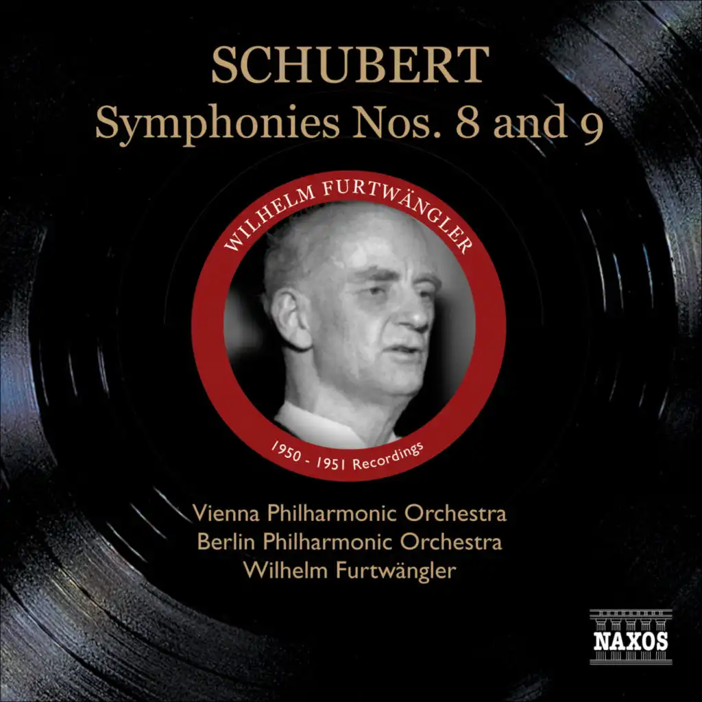 Symphony No. 8 in B Minor, D. 759 "Unfinished": I. Allegro moderato