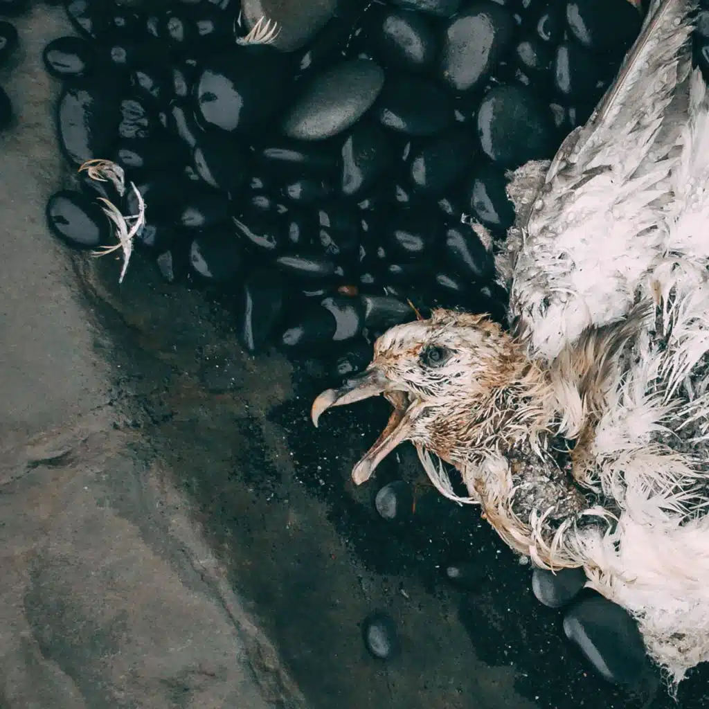 Vantablack