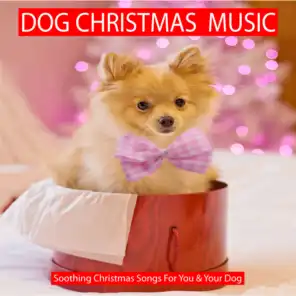 Dog Christmas Music (Soothing Christmas Songs for You & Your Dog)