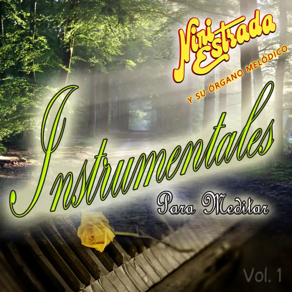 Instrumentales para Meditar (Vol. 1)