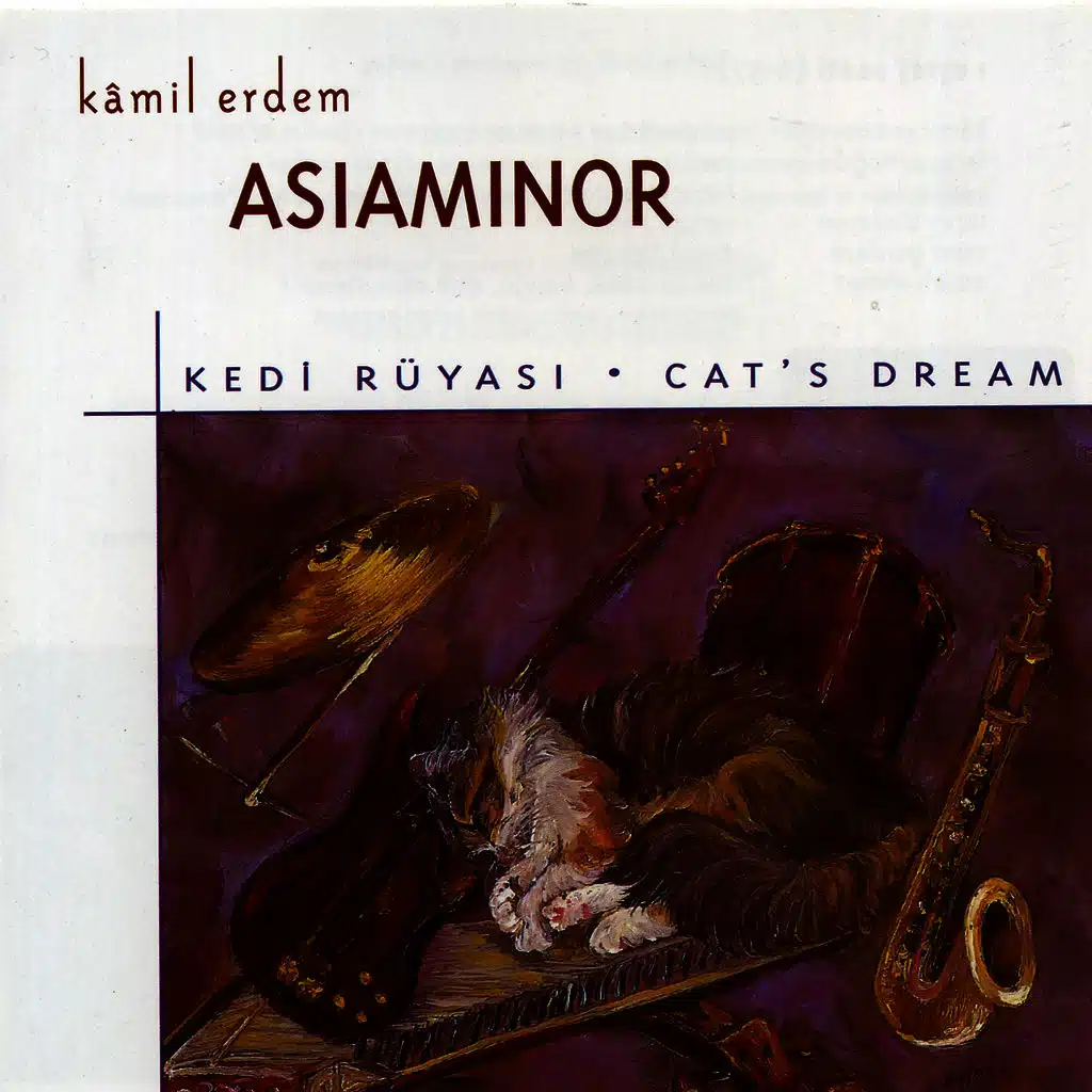 Kedi Rüyası