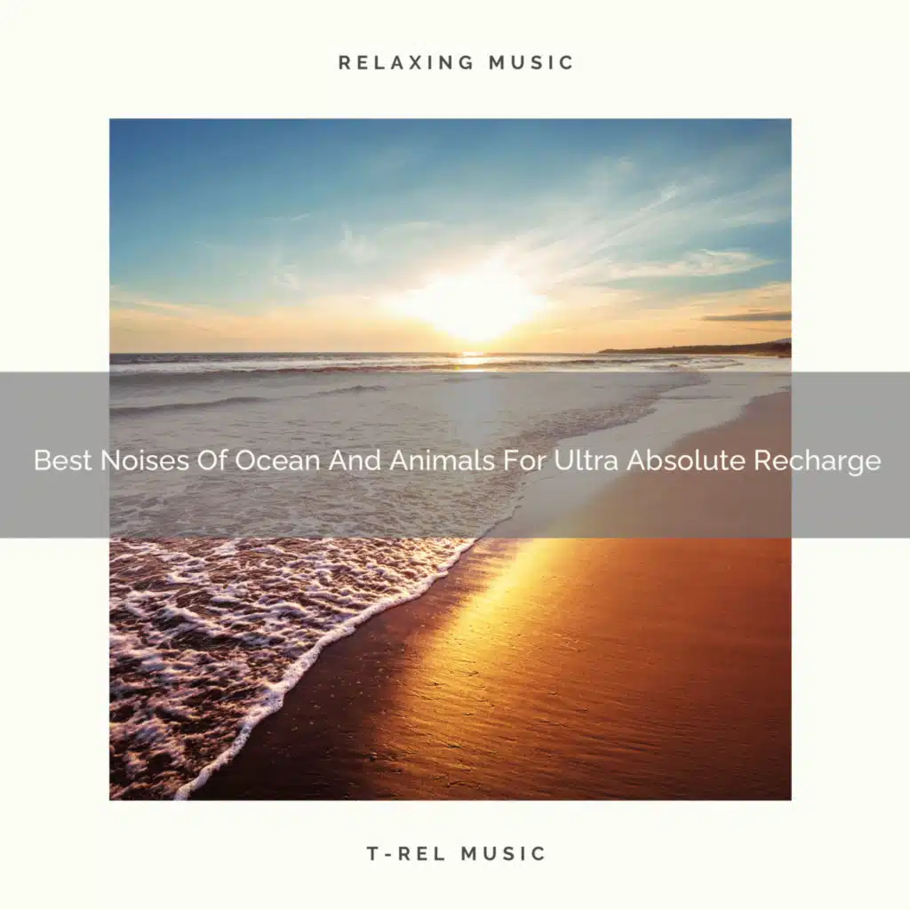 Hard Noises Of Waves And Water For Ultra Sleep