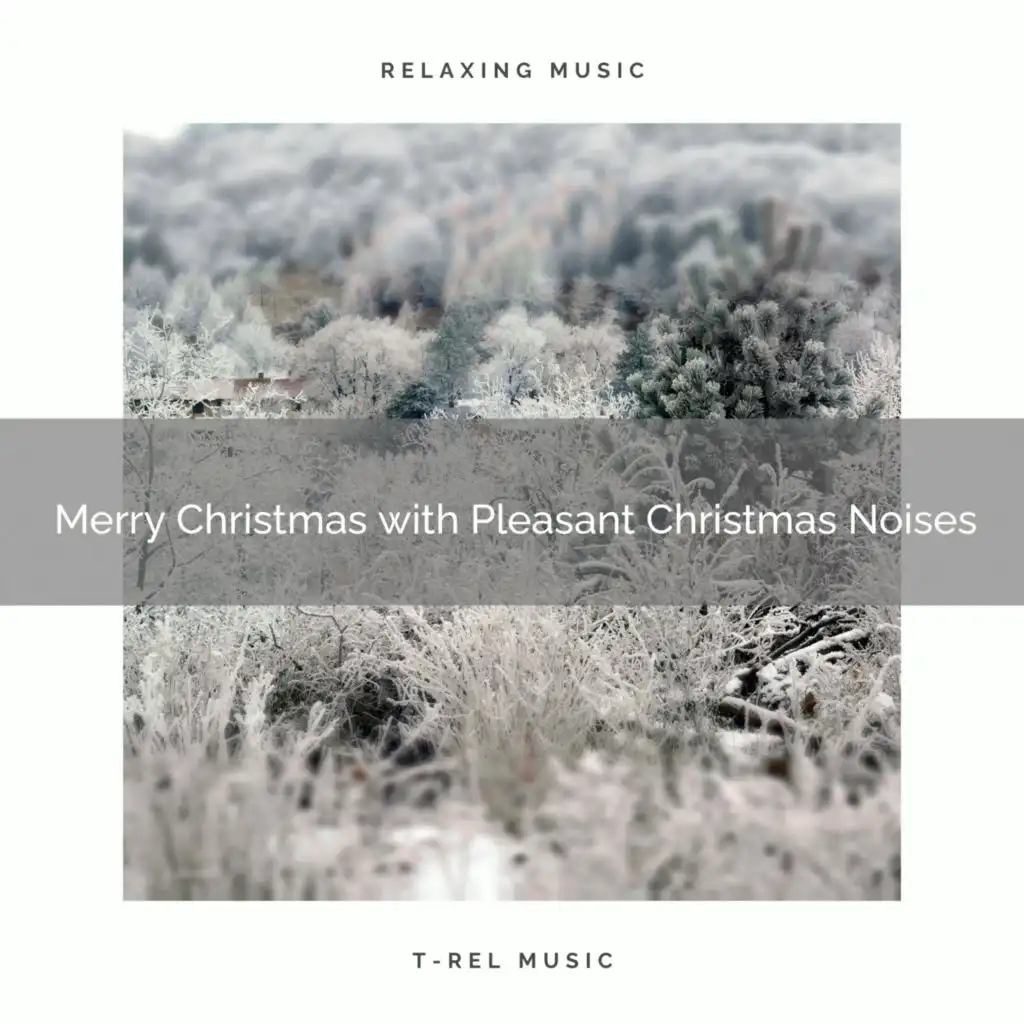 Merry Christmas with Pleasant Christmas Noises