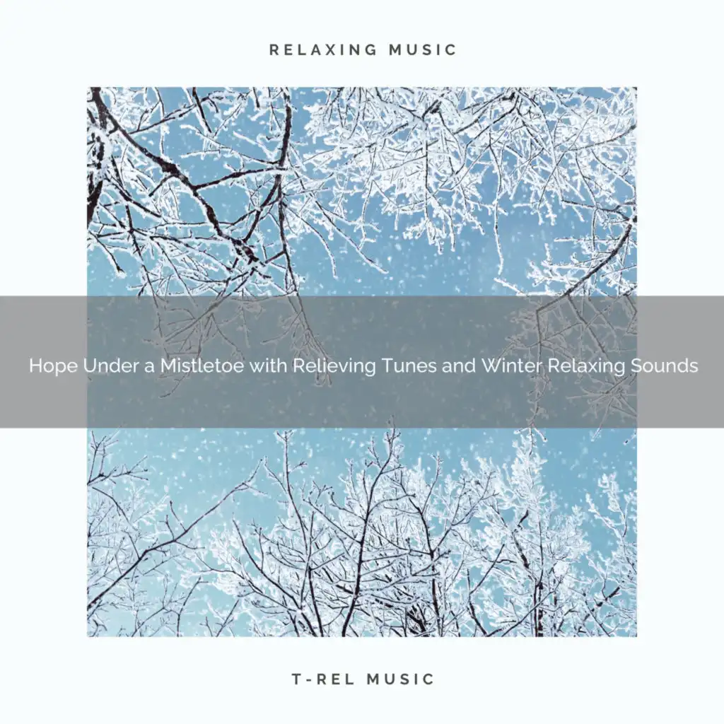 Prosperity and Happiness Under a Mistletoe with Relieving Melodies and Winter Relaxing Sounds