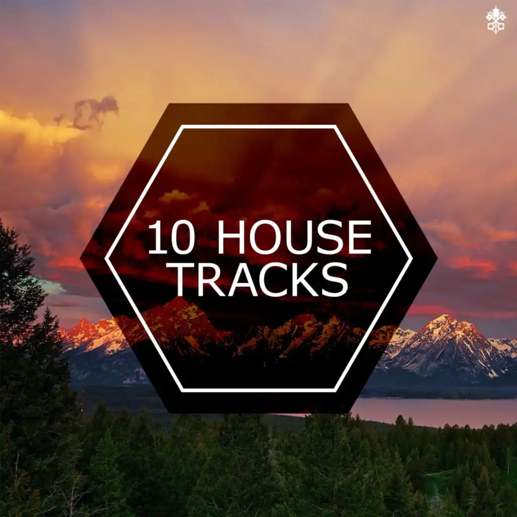 10 House Tracks