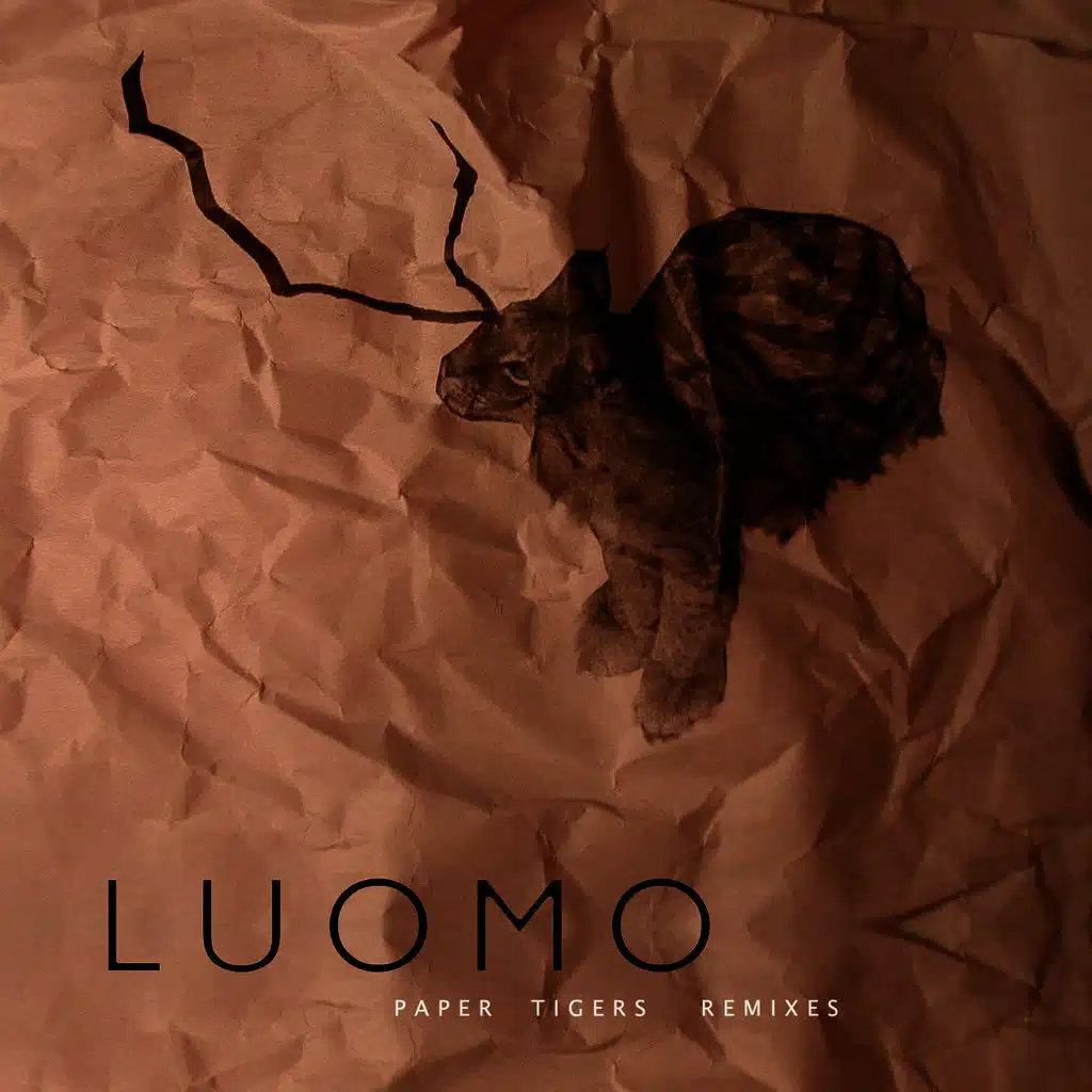 Paper Tigers Remixes