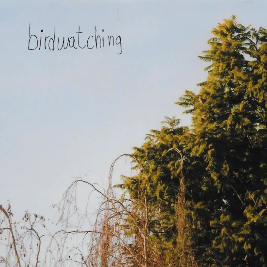 Birdwatching