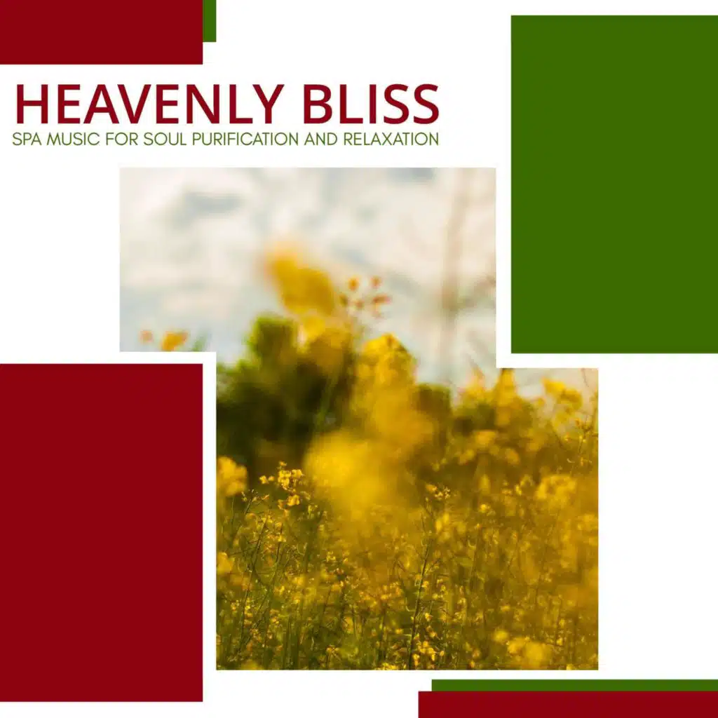 Heavenly Bliss - Spa Music For Soul Purification And Relaxation