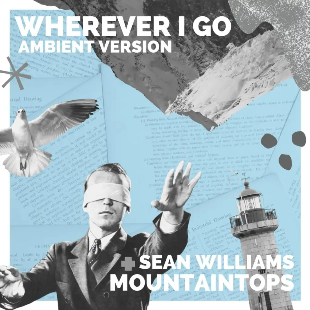 Wherever I Go (feat. Sean Williams) (Ambient Version)