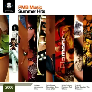 Music Brokers - Summer Hits 2006 (Digital Only)