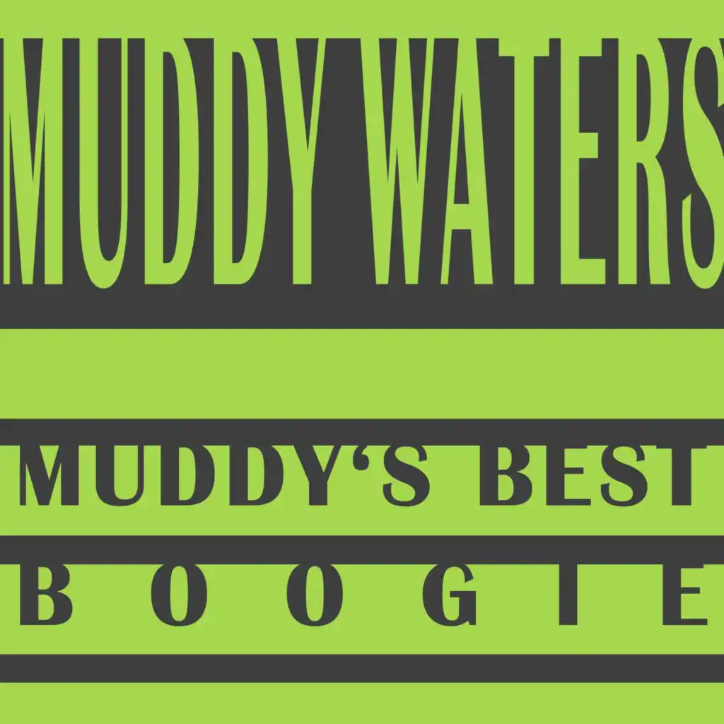 Muddy's Best Boogie