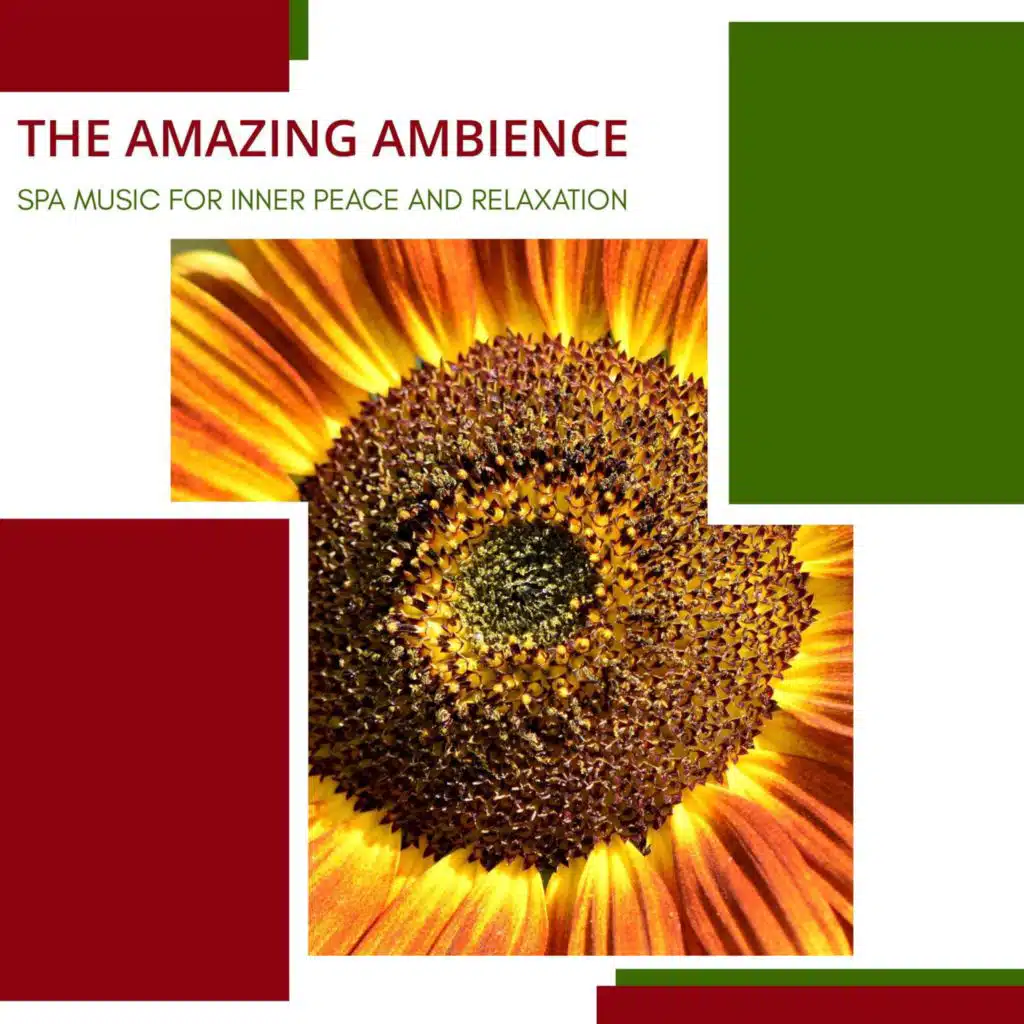 The Amazing Ambience - Spa Music For Inner Peace And Relaxation