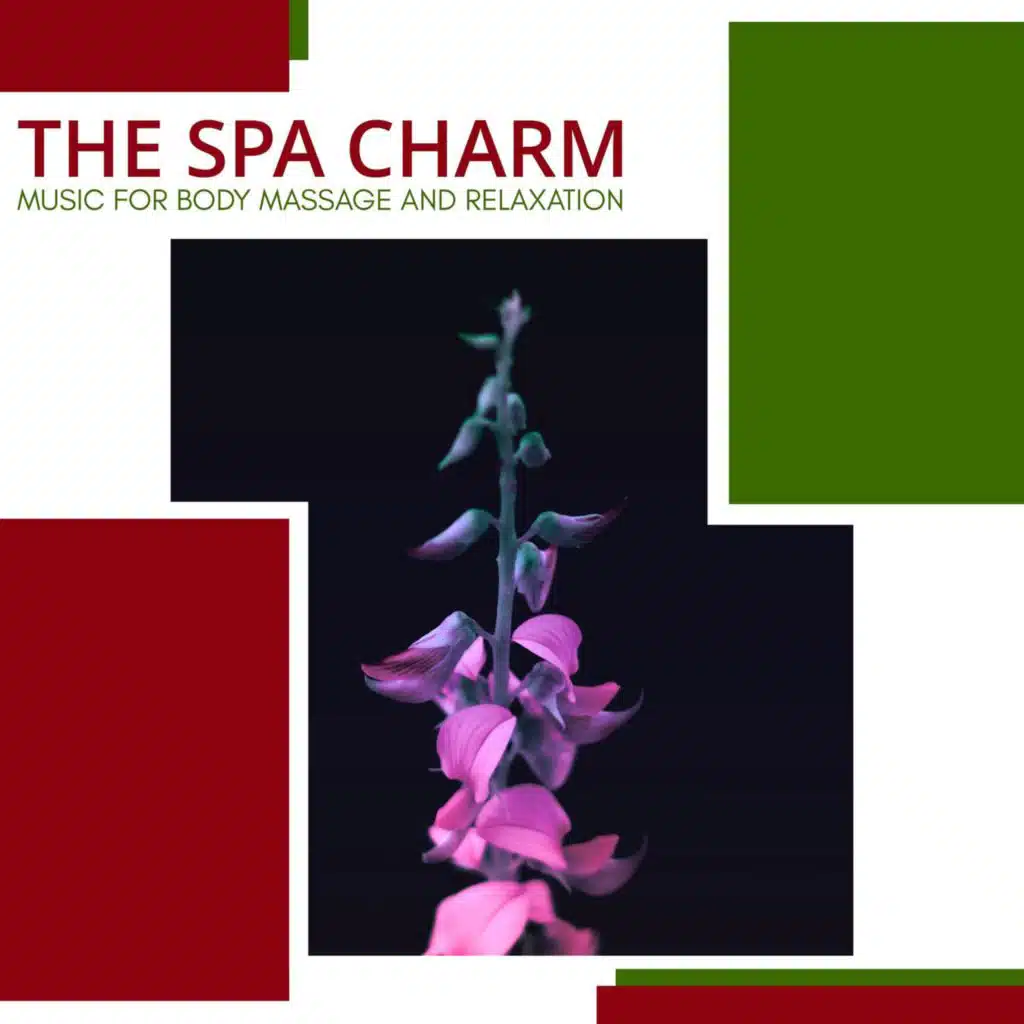 The Spa Charm - Music For Body Massage And Relaxation