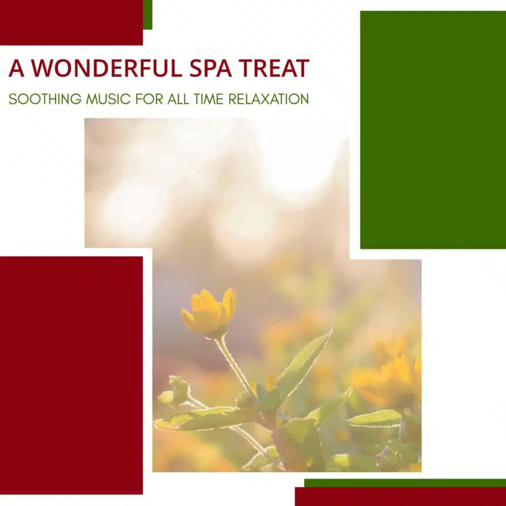 A Wonderful Spa Treat - Soothing Music For All Time Relaxation