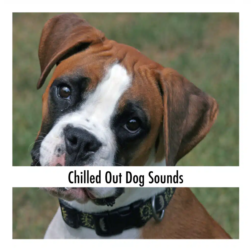 Cuddle Time Chill Tones