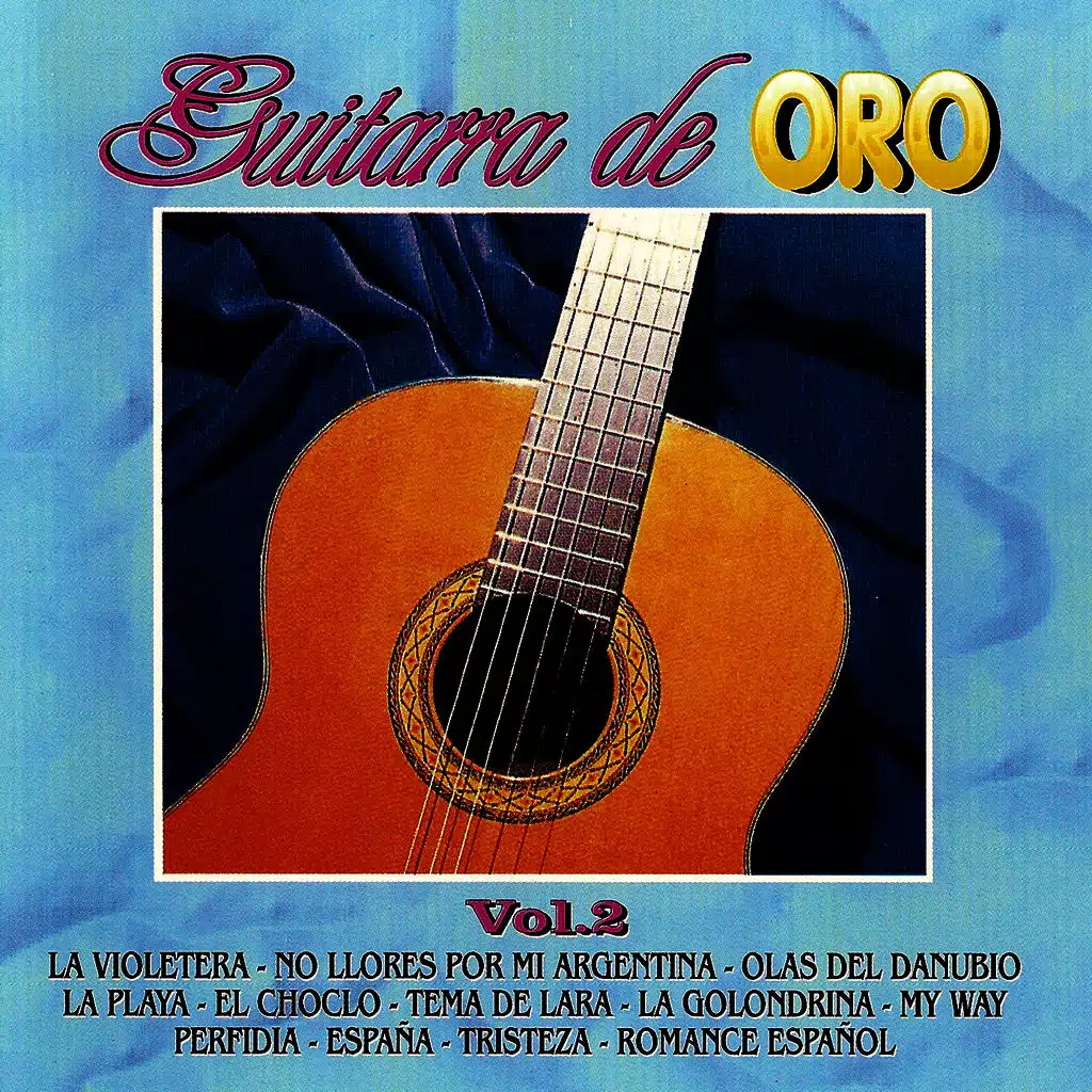 The Guitar Experience