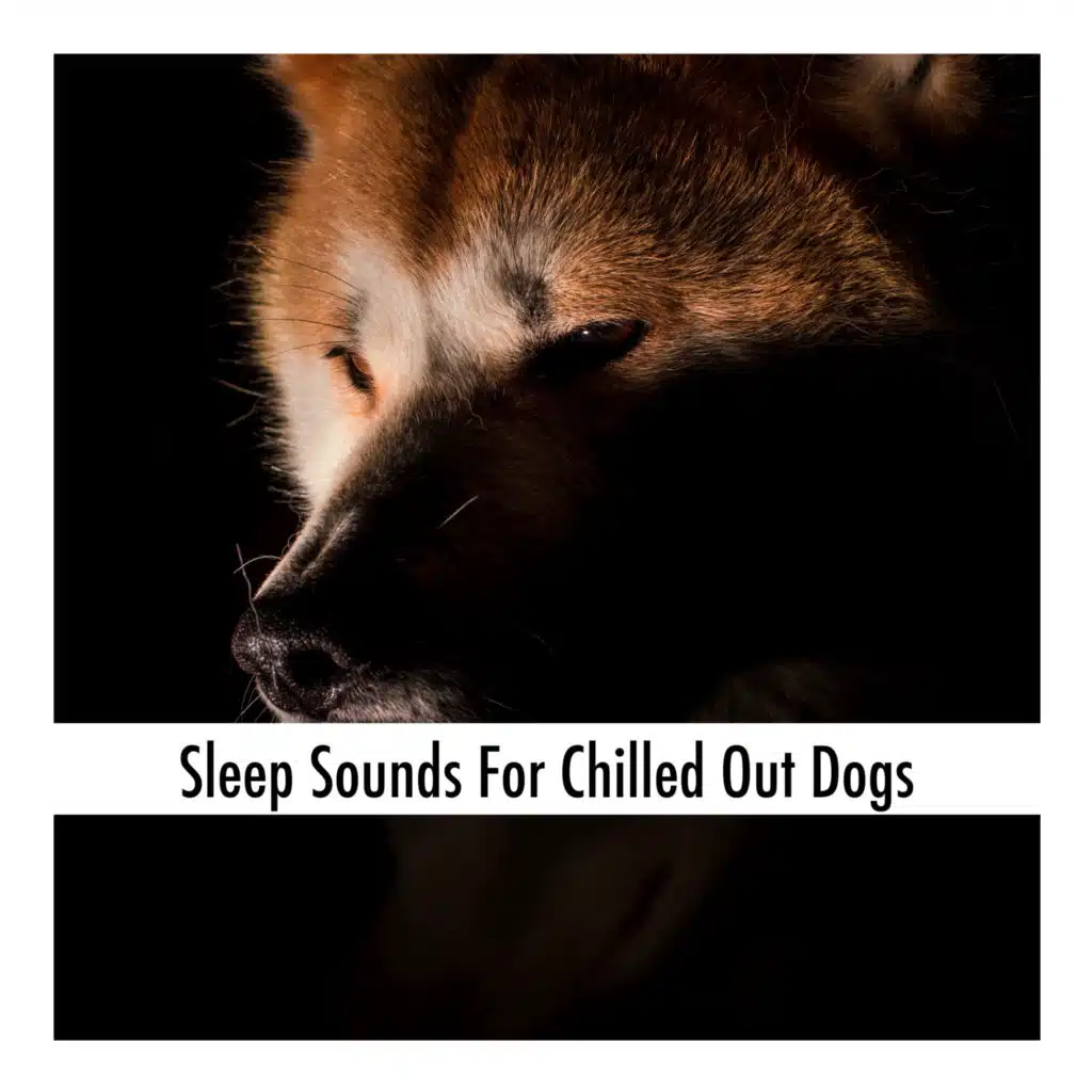 Canine Peaceful Sleep