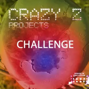 Crazy Z Projects