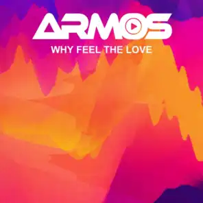 Why Feel The Love (Extended Mix)