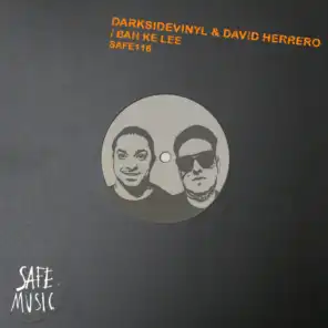 David Herrero & Darksidevinyl