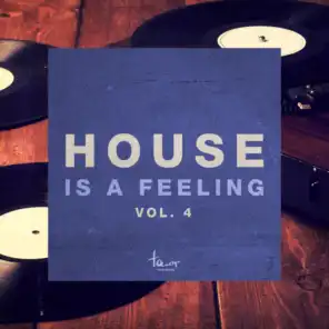 House Is a Feeling, Vol. 4