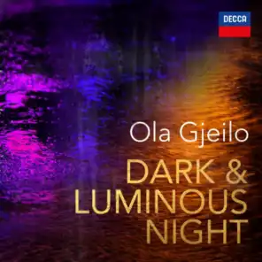 Gjeilo: Luminous Night