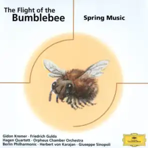The Flight of the Bumblebee - Spring Music