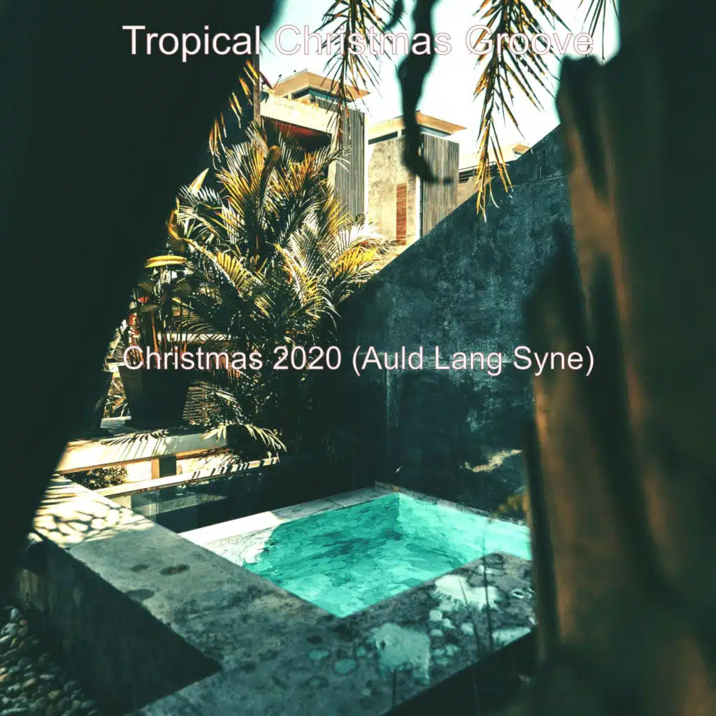 Tropical Christmas Groove
