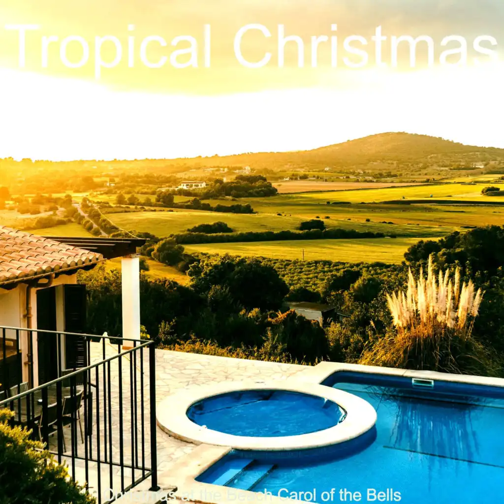 Tropical Christmas