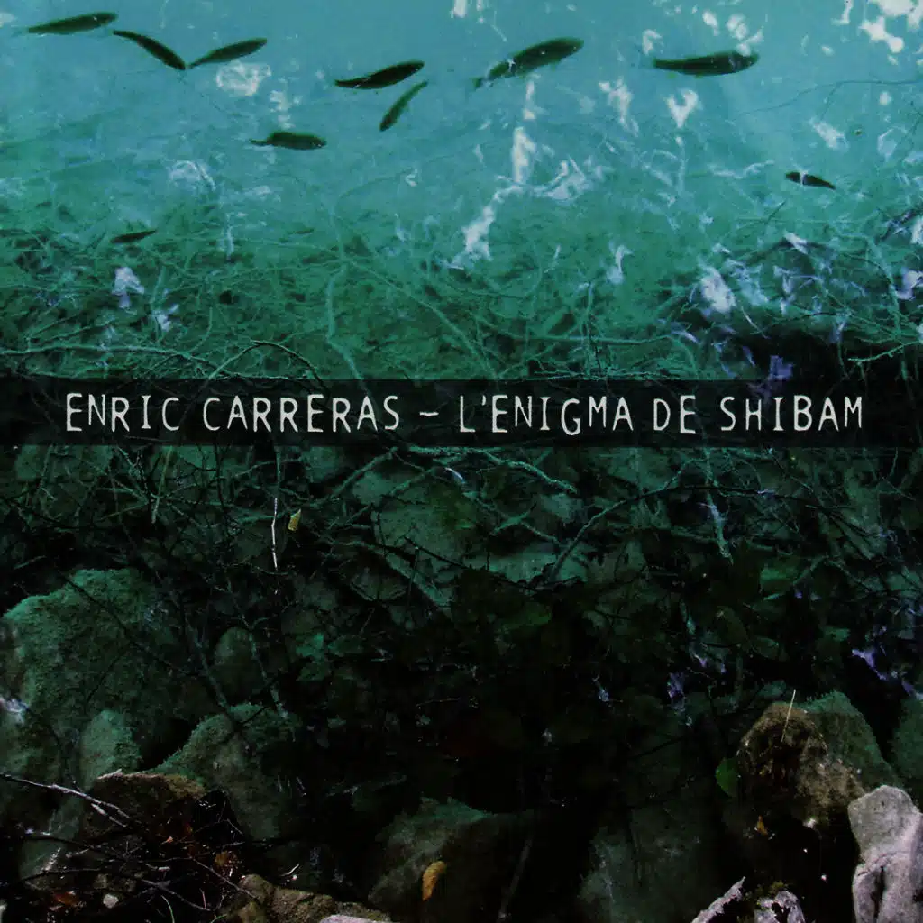 Evanescències II
