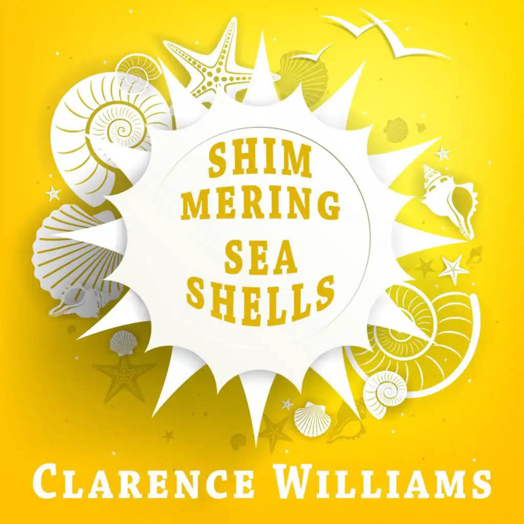 Shimmering Sea Shells
