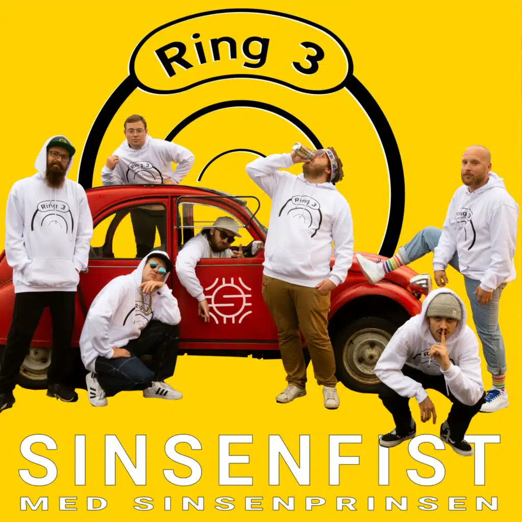 Sinsenfist