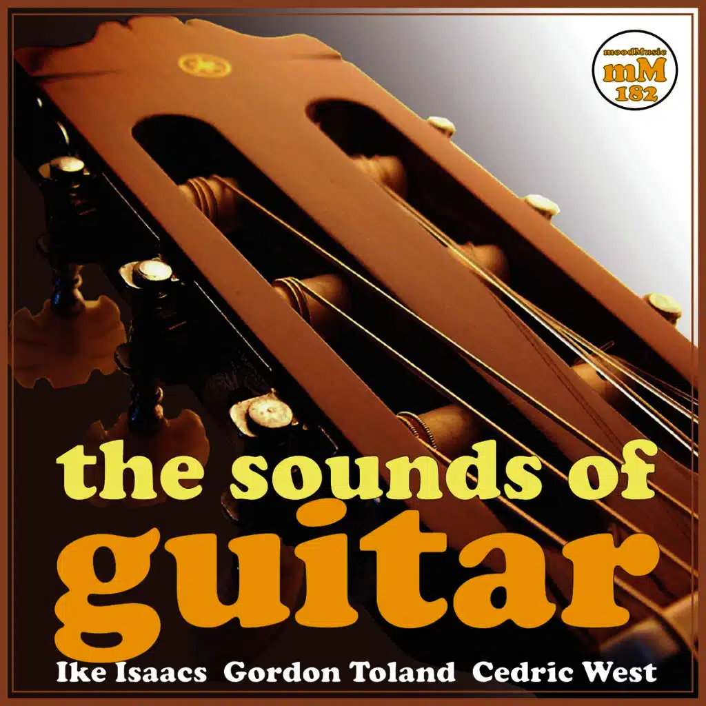 The Sounds of Guitar