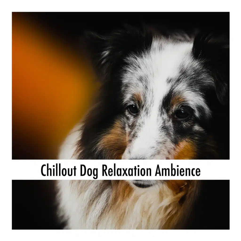 Sleepy Dog Relaxation