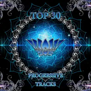 Top 30 Progressive Tracks