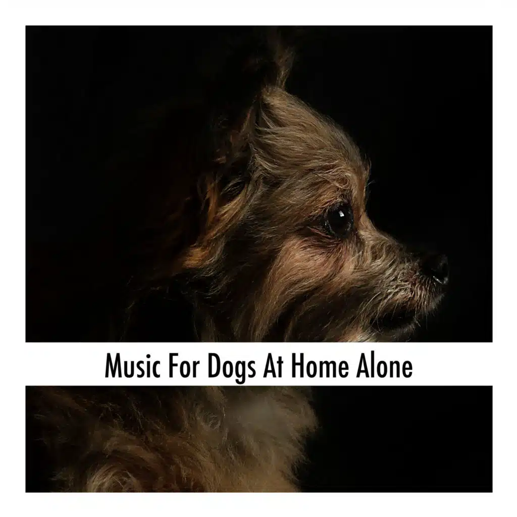 Profound Dog Sleep