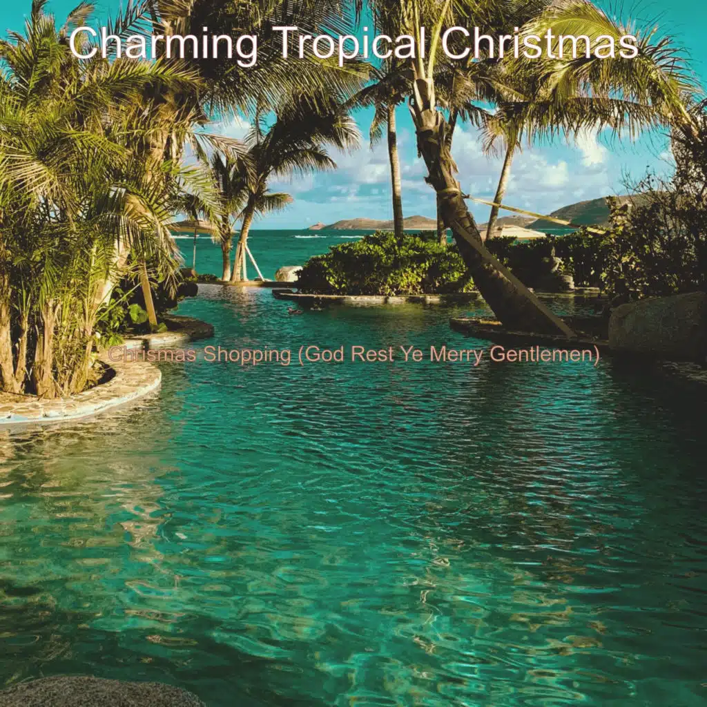 Christmas at the Beach Silent Night
