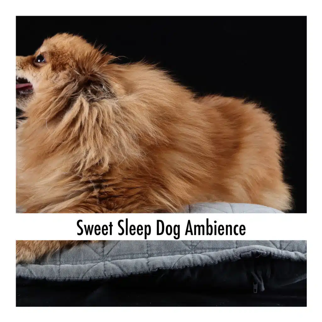 Puppy Weekend Chill Tones
