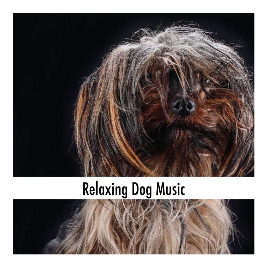 Relaxing Dog Music