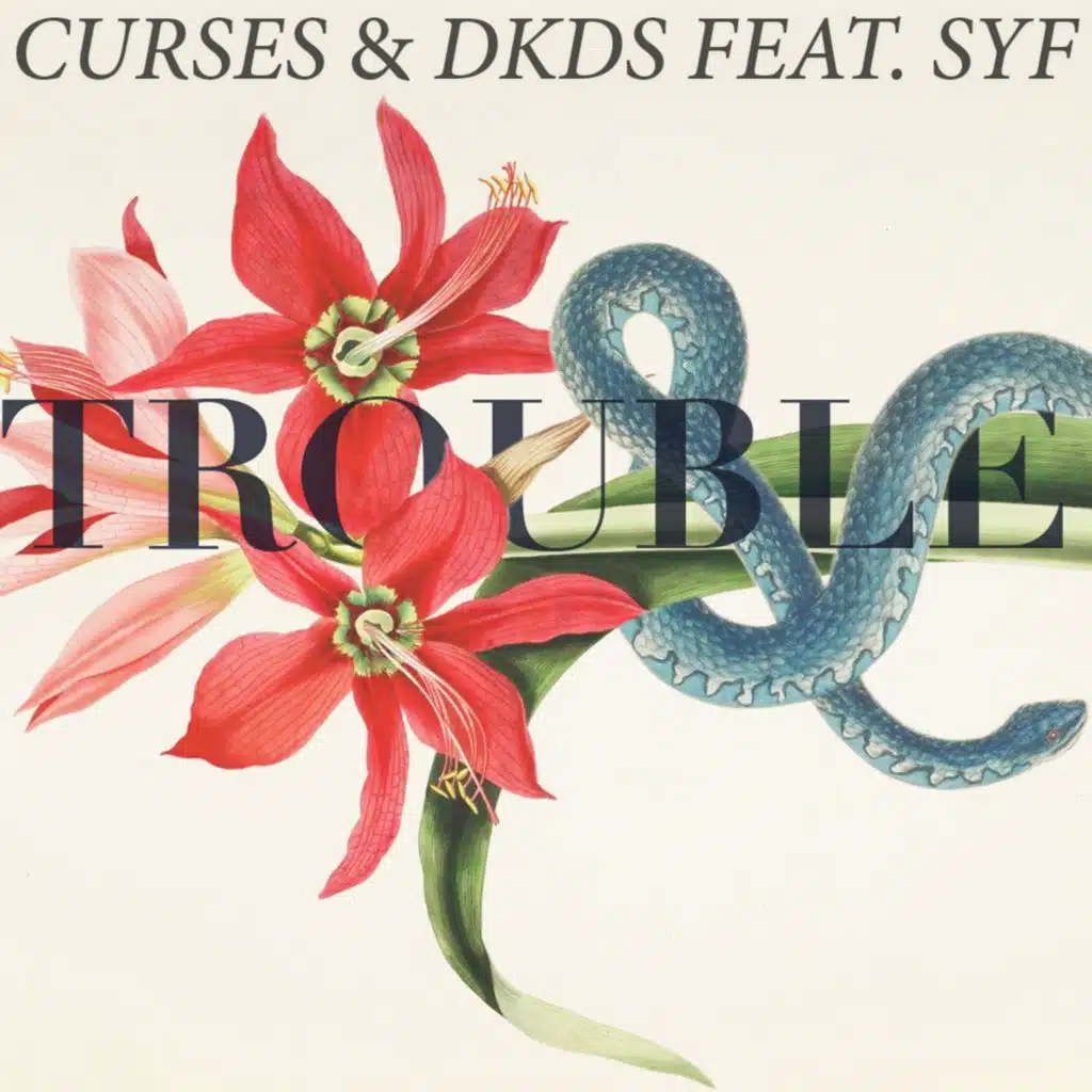 Trouble (feat. SYF)
