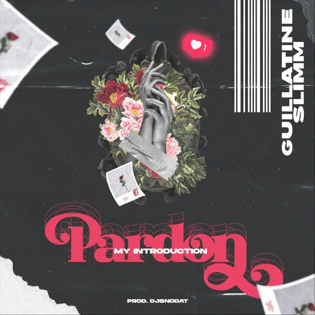 Pardon My Introduction