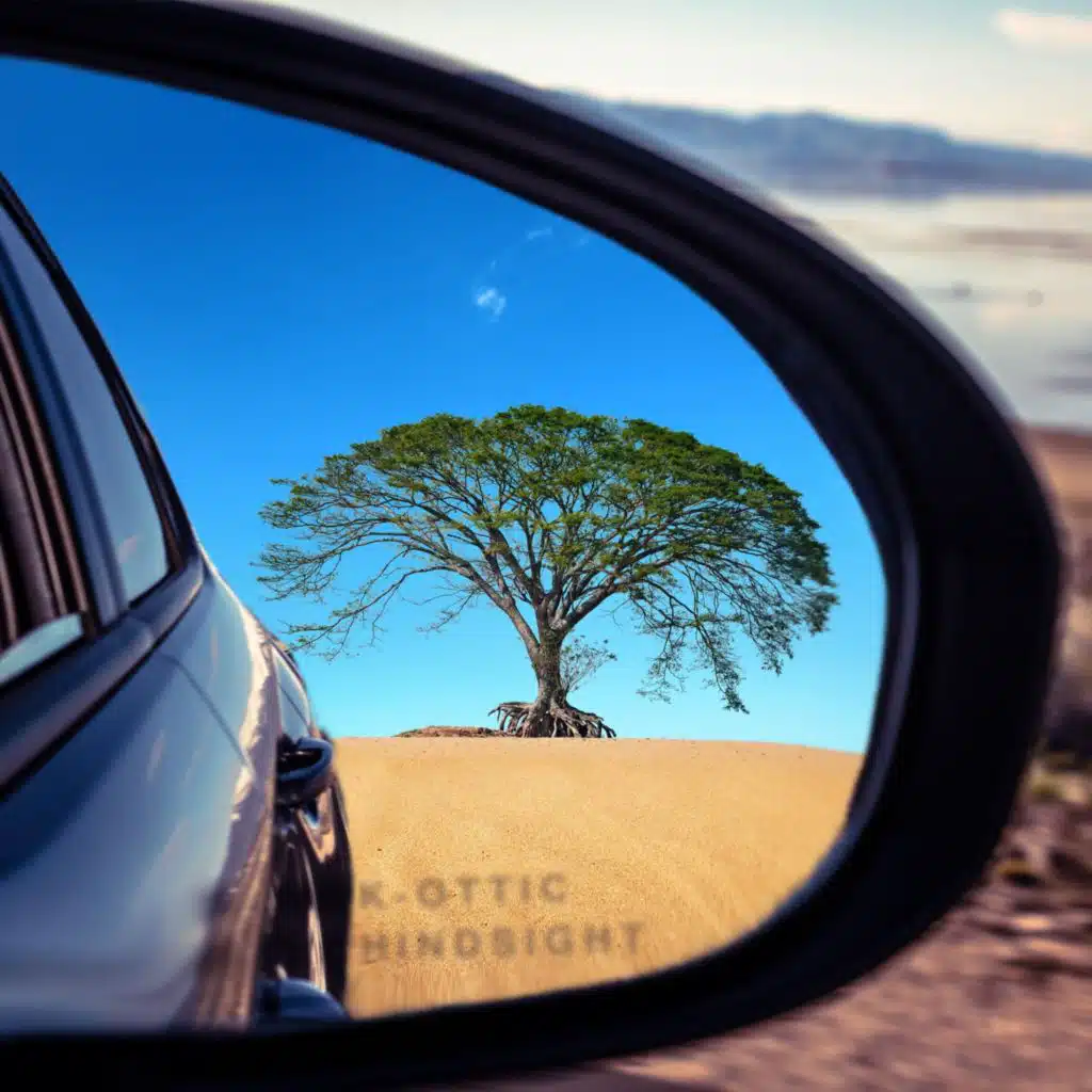 Roller Coaster (feat. Emily Guerra Chicourrat)