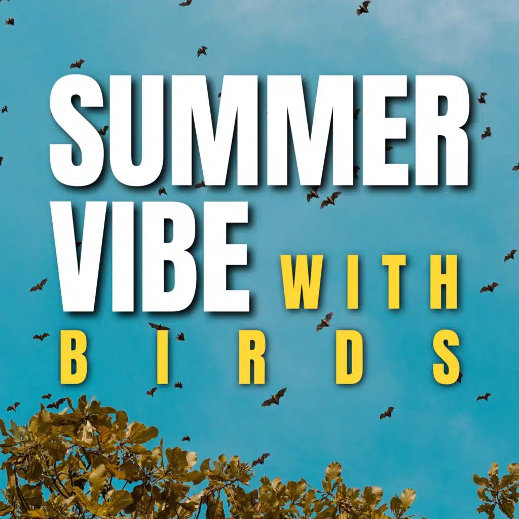 Summer Vibe with Birds