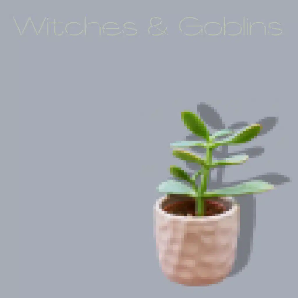 Witches and Goblins