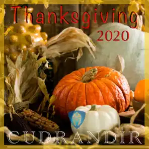 Thanksgiving 2020