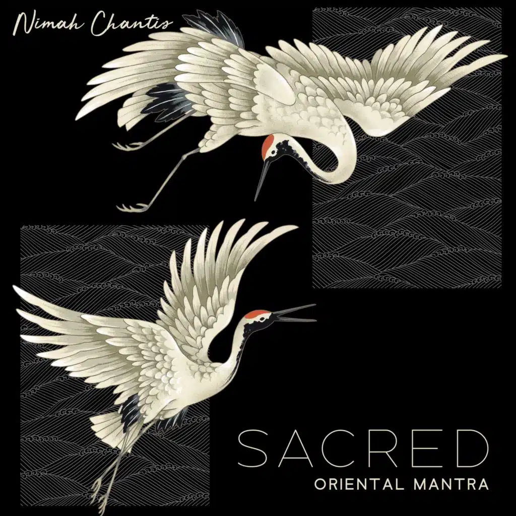 Thousands Years of Mountain Meditation