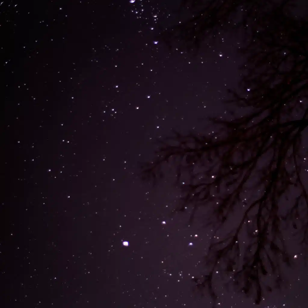 Som De Grilos: Sons Noturnos De Insetos Para Relaxar