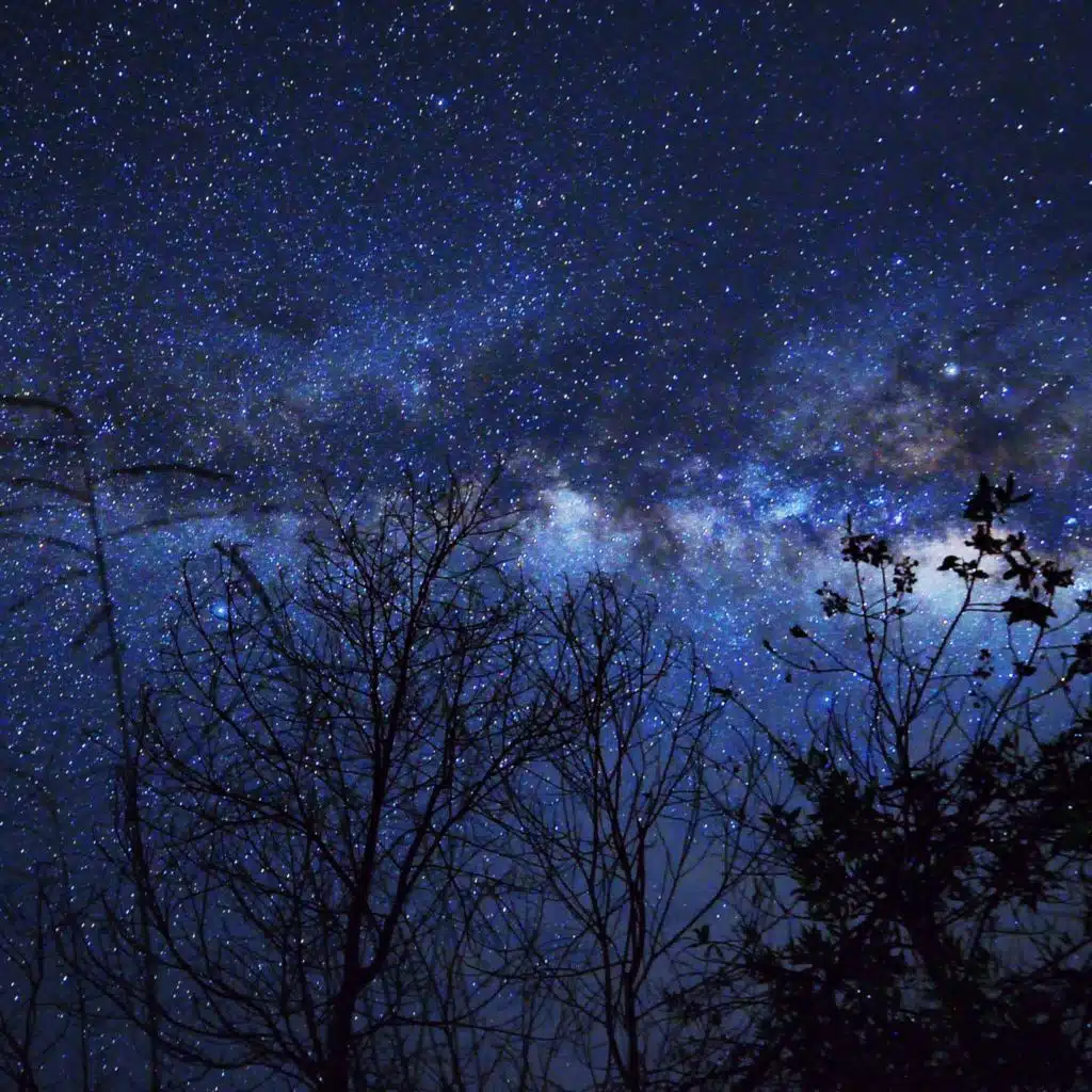 Grillengeräusche: Nacht Insekten Klingt Zum Entspannen
