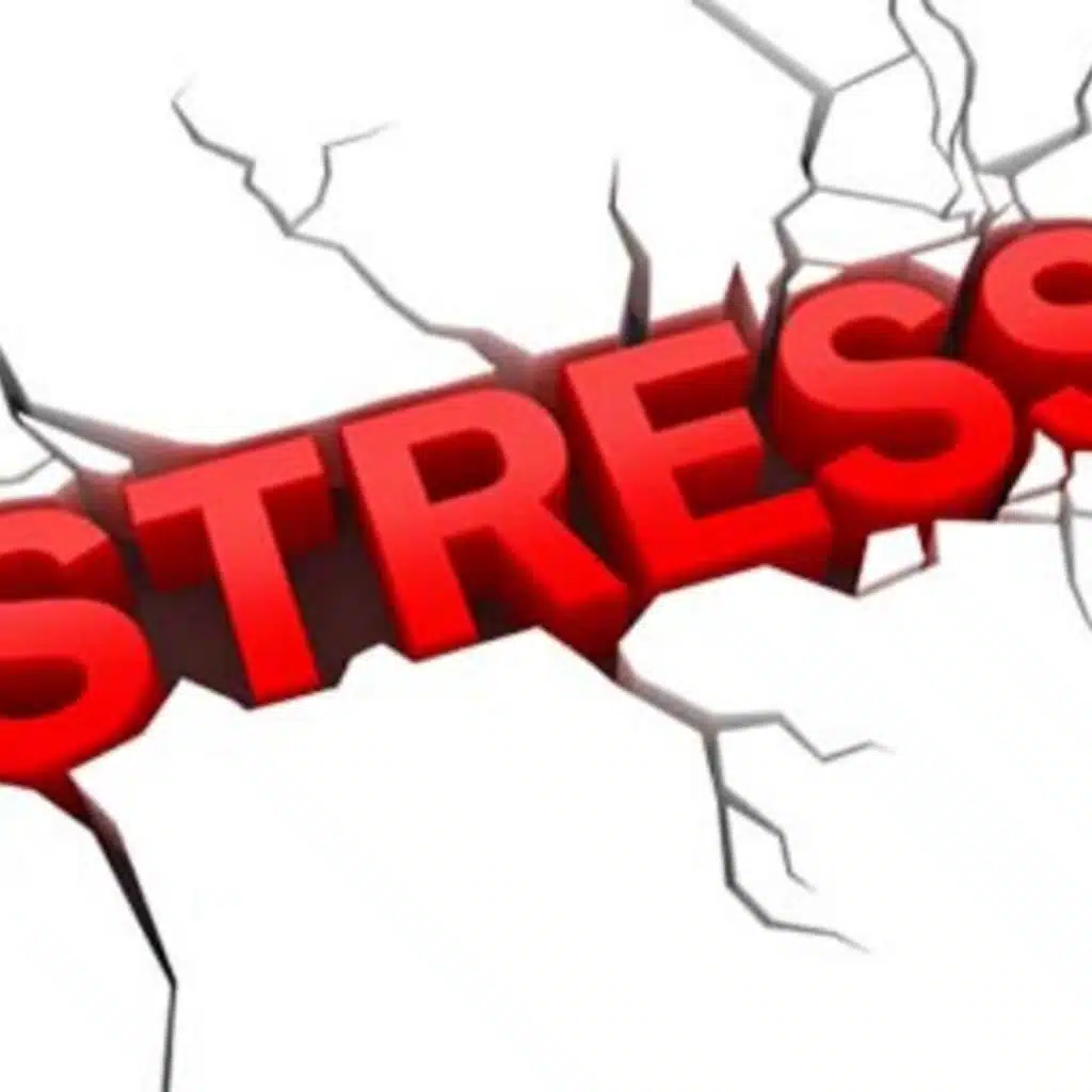 Stress (feat. Forall)